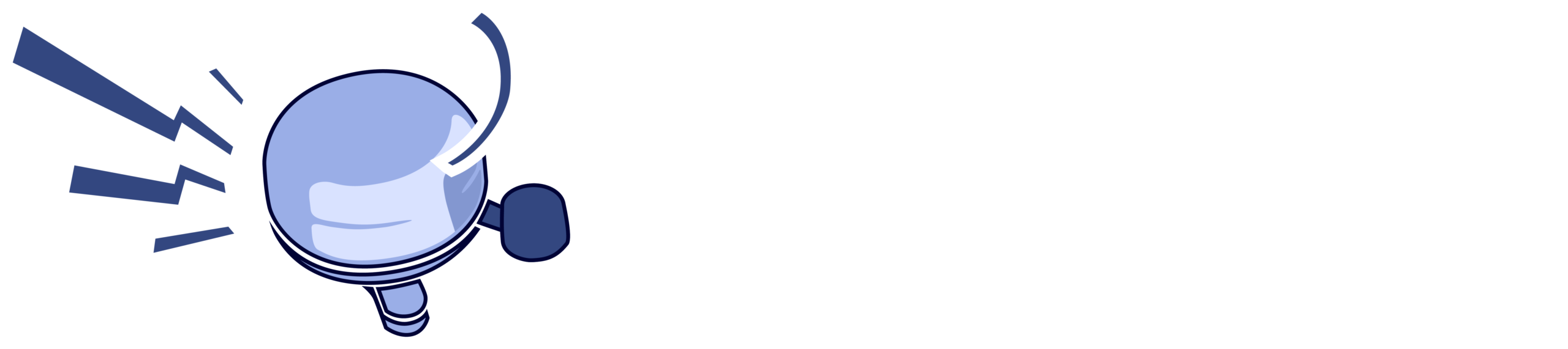 Nederlands Instituut Fiets Coaches